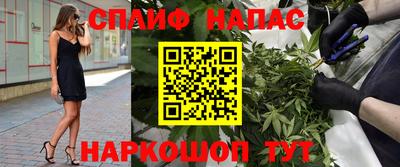 прущие грибы Канаш