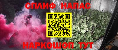 прущие грибы Канаш