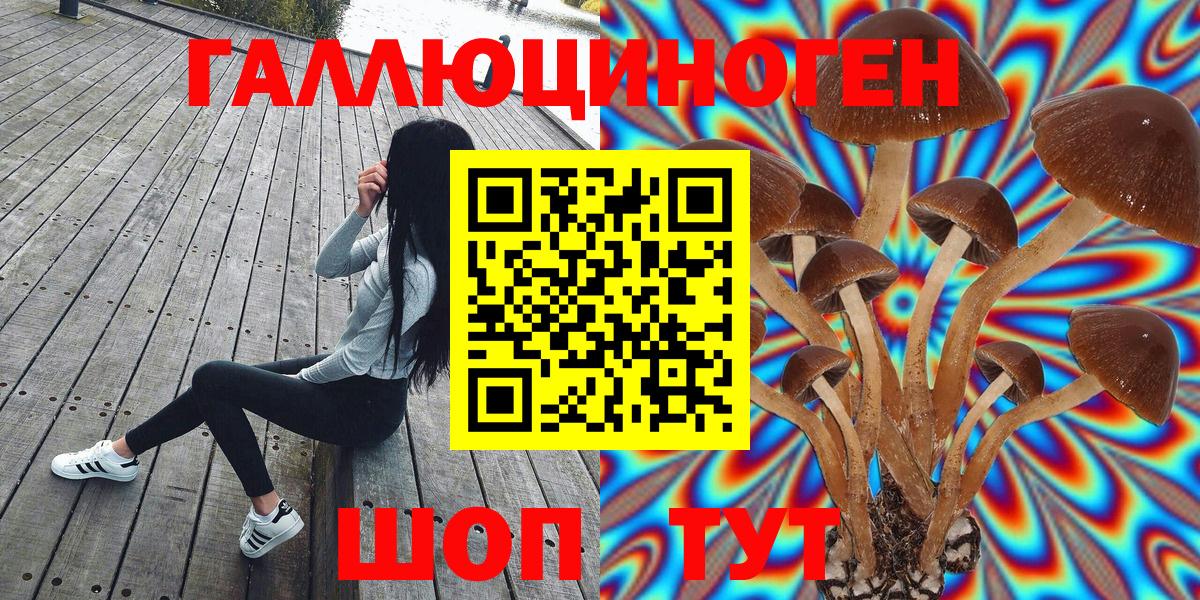 Георгиевск  Галлюциногенные грибы Psilocybe  Псилоцибиновые грибы GOLDEN TEACHER  Вход с VPN 